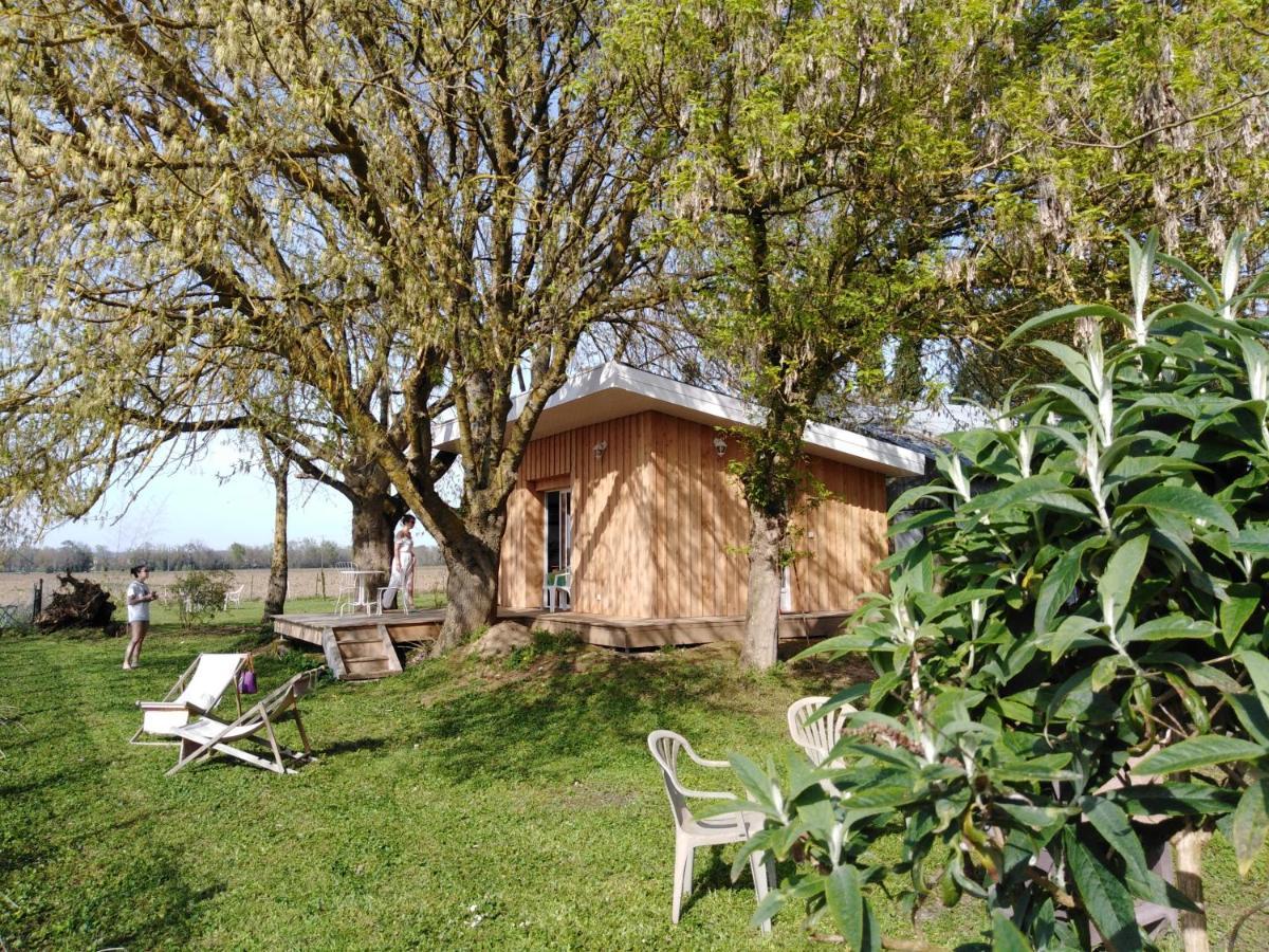 Le Chalet Du Bord De L'Eau Sainte-Terre Exterior foto