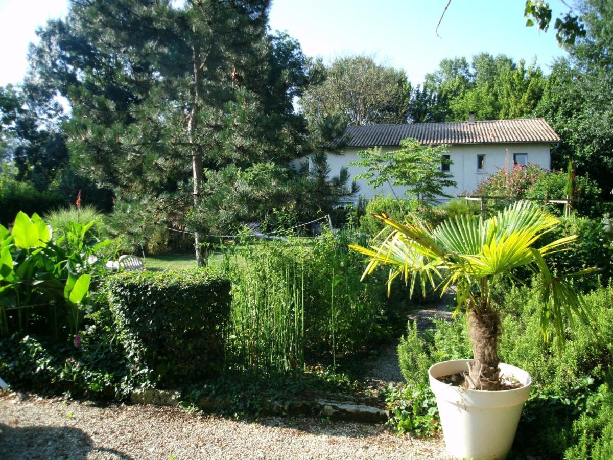 Le Chalet Du Bord De L'Eau Sainte-Terre Exterior foto